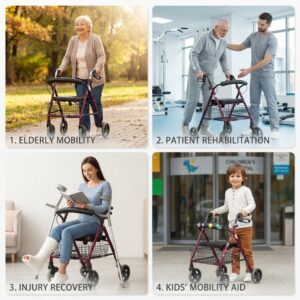 Use cases for rollator walker showing elderly mobility and patient rehabilitation - Hassani Surgicals